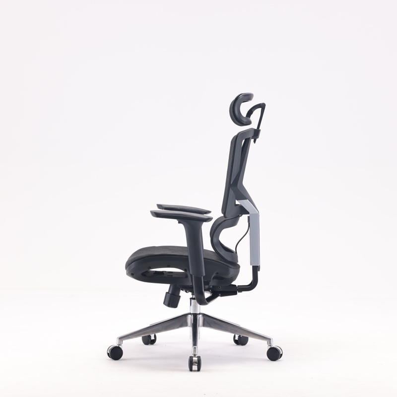 Ghế công thái học Sihoo M90C