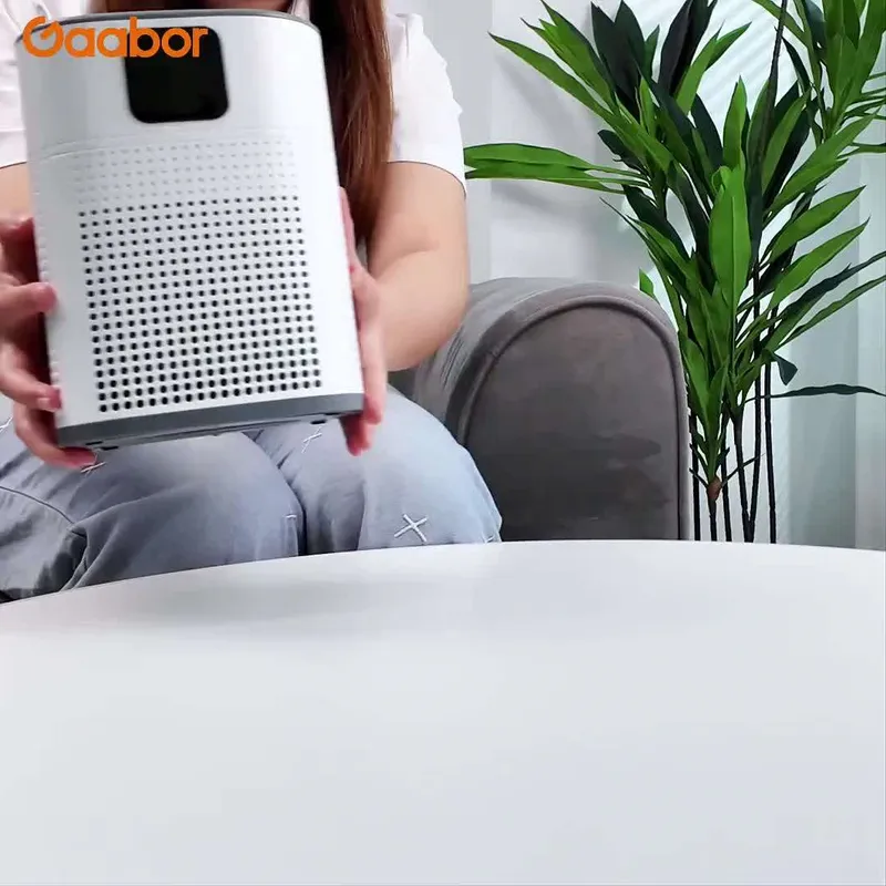 Máy lọc không khí để bàn Gaabor AP-T01A, ảnh 2